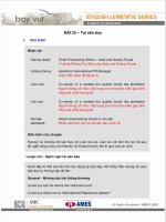 Tiếng anh thương mại - Tại sân bay ppt