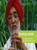 Sowing seeds: Unexpected journeys through the digital divide