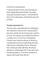 Làm CEO là cả một nghệ thuật ppsx