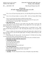 KẾ HOẠCH VUI TẾT CÙNG BẠN NGHÈO