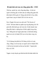 Bí mật khó nói của các tổng giám đốc - CEO ppt