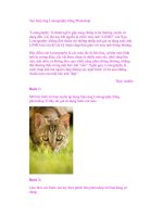 Tạo hiệu ứng Lomography bằng Photoshop ppsx