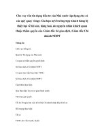 Cho vay vốn tín dụng đầu tư của Nhà nước (áp dụng cho cả các quỹ quay vòng): Gia hạn nợTrường hợp khách hàng bị thiệt hại về tài sản, hàng hoá, do nguyên nhân khách quan thuộc thẩm quyền của Giám đốc Sở giao dịch, Giám đốc Chi nhánh NHPT pptx