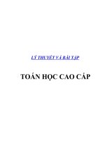 LÝ THUYẾT VÀ BÀI TẬP TOÁN HỌC CAO CẤP doc