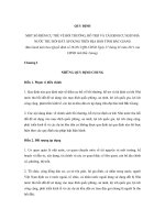 QUY ĐỊNH MỘT SỐ ĐIỂM CỤ THỂ VỀ BỒI THƯỜNG, HỖ TRỢ VÀ TÁI ĐỊNH CƯ KHI NHÀ NƯỚC THU HỒI ĐẤT ÁP DỤNG TRÊN ĐỊA BÀN TỈNH BẮC GIANG docx