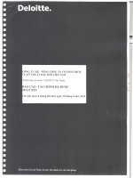 báo cáo tài chính công ty mẹ đã được soát xét quý 2 năm 2010 tổng công ty cổ phần dịch vụ kỹ thuật dầu khí việt nam