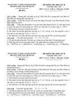 De Hk2.0910.Vat ly 12