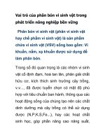 Vai trò của phân bón vi sinh vật trong phát triển nông nghiệp potx