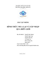 HÌNH THỨC MUA LẠI VÀ SÁP NHẬP  QUA BIÊN GIỚI