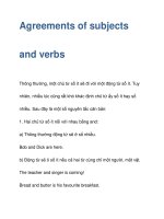 Agreements of subjects and verbs pps