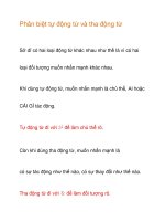 Phân biệt tự động từ và tha động từ potx