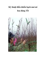 Kỹ thuật điều khiển bạch mai nở hoa đúng Tết docx