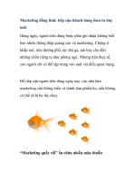 Marketing đồng tình: tiếp cận khách hàng theo tư duy mới ppt