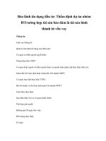 Bảo lãnh tín dụng đầu tư: Thẩm định dự án nhóm BTrường hợp tài sản bảo đảm là tài sản hình thành từ vốn vay doc