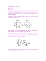 Sinh học tế bào ( phần 15 ) Đường đôi pot