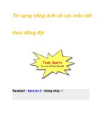 Từ vựng tiếng Anh về các môn thể thao đồng đội pdf