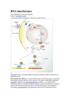 RNA interference pdf