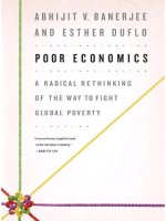 poor economics - ft book of the year -esther duflo abhijit banerjee
