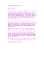 Chọn phân vùng Scheme trong Linux pot