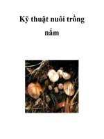 Kỹ thuật nuôi trồng nấm docx