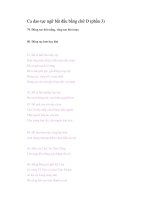Ca dao tục ngữ bắt đầu bằng chữ D (phần 3) docx
