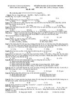 De HK2.0910.Hoa hoc 10