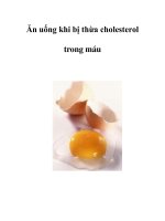 Ăn uống khi bị thừa cholesterol trong máu docx