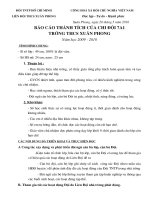 báo cáo thành tích chi đội 7A1