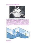 Khắc phục sự cố các vấn đề mạng Mac doc