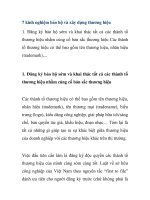 7 kinh nghiệm bảo hộ và xây dựng thương hiệu pdf