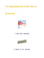 Từ vựng tiếng Anh về ốm đau và bị thương ppsx