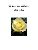 Kỹ thuật điều khiển hoa hồng ra hoa potx