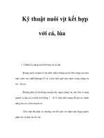 Kỹ thuật nuôi vịt kết hợp với cá, lúa pdf
