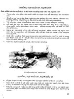 Kĩ Thuật Chăn Nuôi - Vịt, Ngan phần 3 pdf