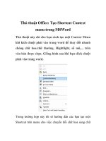 Thủ thuật Office: Tạo Shortcut Context menu trong MSWord pptx