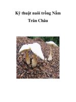 Kỹ thuật nuôi trồng Nấm Trân Châu pps