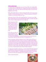 Món ăn miền trung pot