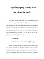 Một số biện pháp kỹ thuật chăm sóc vải sau thu hoạch doc