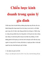 Chiến lược kinh doanh trong quản lý gia đình pps