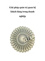 Giải pháp quản trị quan hệ khách hàng trong doanh nghiệp ppsx