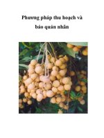 Phương pháp thu hoạch và bảo quản nhãn pps