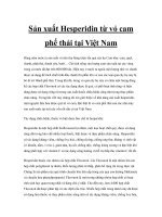 Sản xuất Hesperidin từ vỏ cam phế thải tại Việt Nam docx