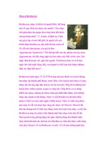 Nhạc sĩ Beethoven docx