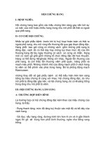 HỘI CHỨNG HANG ppt