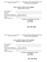 Mau Giay Chung Nhan TN