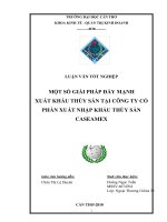 MỘT SỐ GIẢI PHÁP ĐẨY MẠNH XUẤT KHẨU THỦY SẢN TẠI CÔNG TY CỔ PHẦN XUẤT NHẬP KHẨU THỦY SẢN CASEAMEX pps