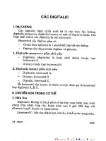 Y Tế Khẩn Cấp - Sơ Cứu phần 7 ppt