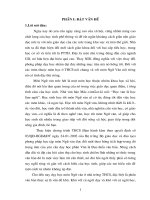 SKKN Miễn- THCS Hà Thái