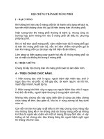 HỘI CHỨNG TRÀN KHÍ MÀNG PHỔI potx