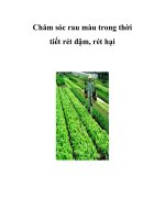 Chăm sóc rau màu trong thời tiết rét đậm, rét hại potx